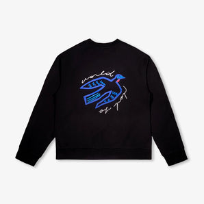 Children’s Organic Cotton Sweatshirt – ‘Birds Protect’ Front & Back