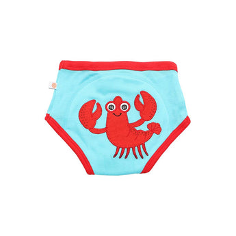 Zoocchini Organic Potty Training Pants 3 Pack | Toddler Underwear Set