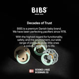 Bibs Colour Anatomical Glow Latex Pacifiers 2 Pack | Soother - My Little Thieves