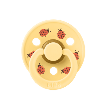 Bibs Latex Pacifier Studio Ladybug Design 2 Pack | Soother - My Little Thieves