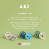 Bibs Pacifier Studio Colour 2 Pack Bumblebee Latex | Soother - My Little Thieves