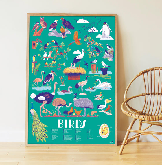 Birds Sticker Poster Discovery - My Little Thieves