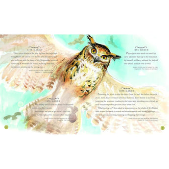 Bloomsbury Harry Potter A Magical Year Jim Kay Illustrations | Art Book - My Little Thieves