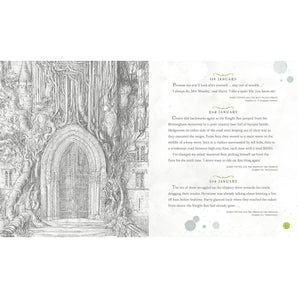Bloomsbury Harry Potter A Magical Year Jim Kay Illustrations | Art Book - My Little Thieves
