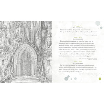 Bloomsbury Harry Potter A Magical Year Jim Kay Illustrations | Art Book - My Little Thieves