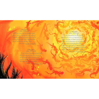 Bloomsbury Harry Potter A Magical Year Jim Kay Illustrations | Art Book - My Little Thieves