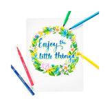 Brilliant Brush Markers - Set of 12 - My Little Thieves