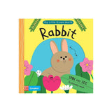 Campbell Books Rabbit ” Children's Book For Kids | Baby Books - My Little Thieves