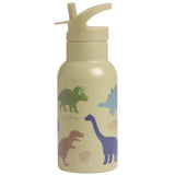 350ml Insulated Steel Water Bottle - Dinosaurs