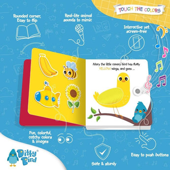 Ditty Bird Touch Of Colors ” Creative Activity Book For Kids | Books - My Little Thieves