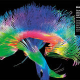 Dk Publishing Knowledge Encyclopedia Human Body ” Children's Book For Kids | Children's & Teenage Fiction Stories - My Little Thieves