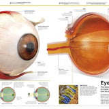 Dk Publishing Knowledge Encyclopedia Human Body ” Children's Book For Kids | Children's & Teenage Fiction Stories - My Little Thieves