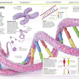 Dk Publishing Knowledge Encyclopedia Human Body ” Children's Book For Kids | Children's & Teenage Fiction Stories - My Little Thieves