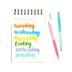 Dual Tone Double Ended Brush Marker - set of 12/24 colors - My Little Thieves