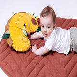 Eco Friendly Tummy Time Pillow For Babies | Trixie Sensory Play Support - My Little Thieves