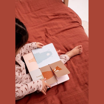 Flip Flap Book - My Little Thieves