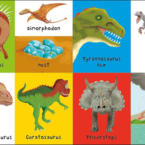 First 100: First 100 Dinosaurs