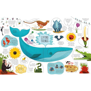 Usborne Publishing Ltd Lift The Flap General Knowledge (See Inside) ” Children's Book For Kids | Books