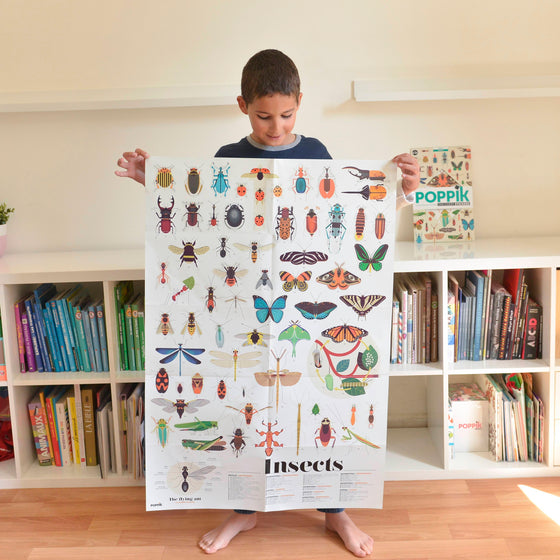 Insects Sticker Poster Discovery - My Little Thieves