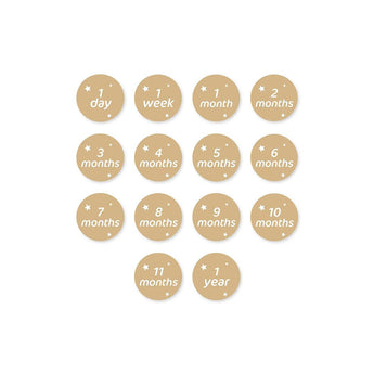 Lulujo Baby's First Year Milestone Blanket & Cards Set | Premium Muslin Gift - My Little Thieves