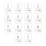 Lulujo Baby's First Year Milestone Blanket & Cards Set | Premium Muslin Gift - My Little Thieves