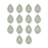 Lulujo Baby's First Year Milestone Blanket & Cards Set | Premium Muslin Gift - My Little Thieves