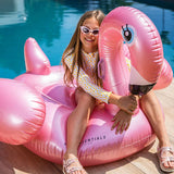 Luxe Ride - on Pink Flamingo - My Little Thieves