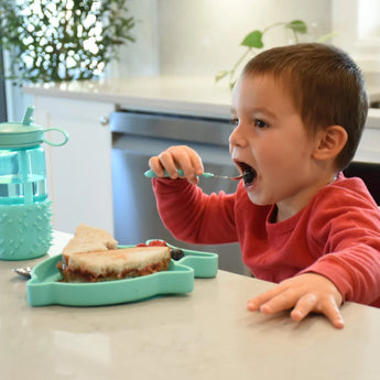 Melii Eco Friendly Divided Silicone Suction Plate For Kids | Self Feeding 6 M+ - My Little Thieves