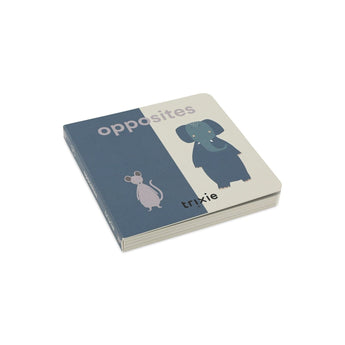 Opposites Book - My Little Thieves