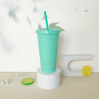 Personalised 24 oz Tumblers Cup with straw and Lid Best choice for Birthday Favors - My Little Thieves
