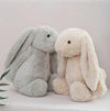 Personalised Grey Plush Bunny Toy - My Little Thieves