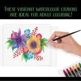 Signature, Premium Watercolor Sticks - My Little Thieves