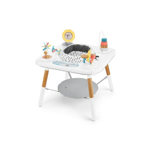 Skip Hop Discoverosity 3 Stage Activity Center | Activity Toys - My Little Thieves