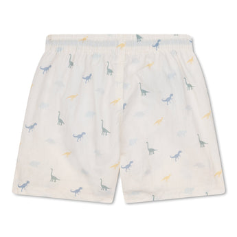Swim Essentials Kids Swim Shorts For Boys | Fun Summer Swimwear - My Little Thieves