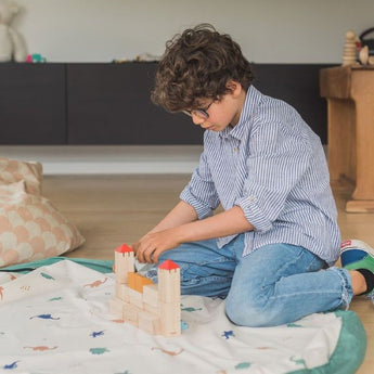 Toy Storage bag – Dino - My Little Thieves