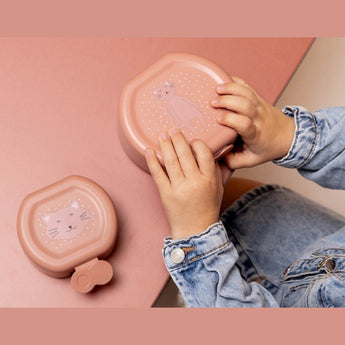 Trixie Kids Snack Box Set Of 2 | Leakproof School Lunch Containers - My Little Thieves