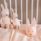 Trixie Organic Cot Duvet Cover | Rosy Rabbit, Daring Dino, Lively Lion - My Little Thieves