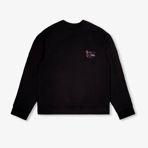 World Of Pop Children’s Organic Cotton Sweatshirt | Birds Protect Hoodie - My Little Thieves