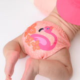 Zoocchini Reusable Swim Diaper 2 Piece Set | Eco Friendly Baby Swim - My Little Thieves