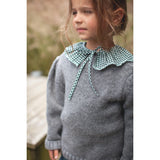 Bonheur Dujour Green Collar Removable Flounced Checks | Fashion Accessories