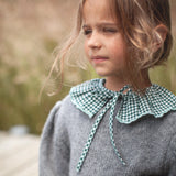 Bonheur Dujour Green Collar Removable Flounced Checks | Fashion Accessories