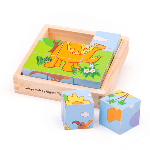 Dinosaur Cube Puzzle - My Little Thieves