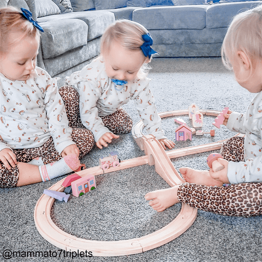 Fairy Pink Train Set - My Little Thieves