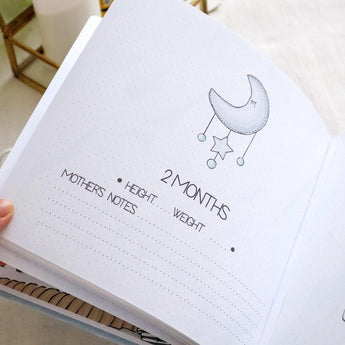 Personalized Baby Milestones Photo Album - My Little Thieves