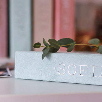 Personalized Baby Milestones Photo Album - My Little Thieves