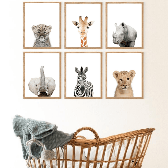 Set of 6 - Animal Safari Wall Art Prints - My Little Thieves