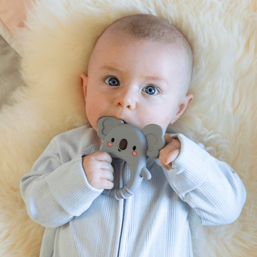 Silicone Teether - Koala - My Little Thieves